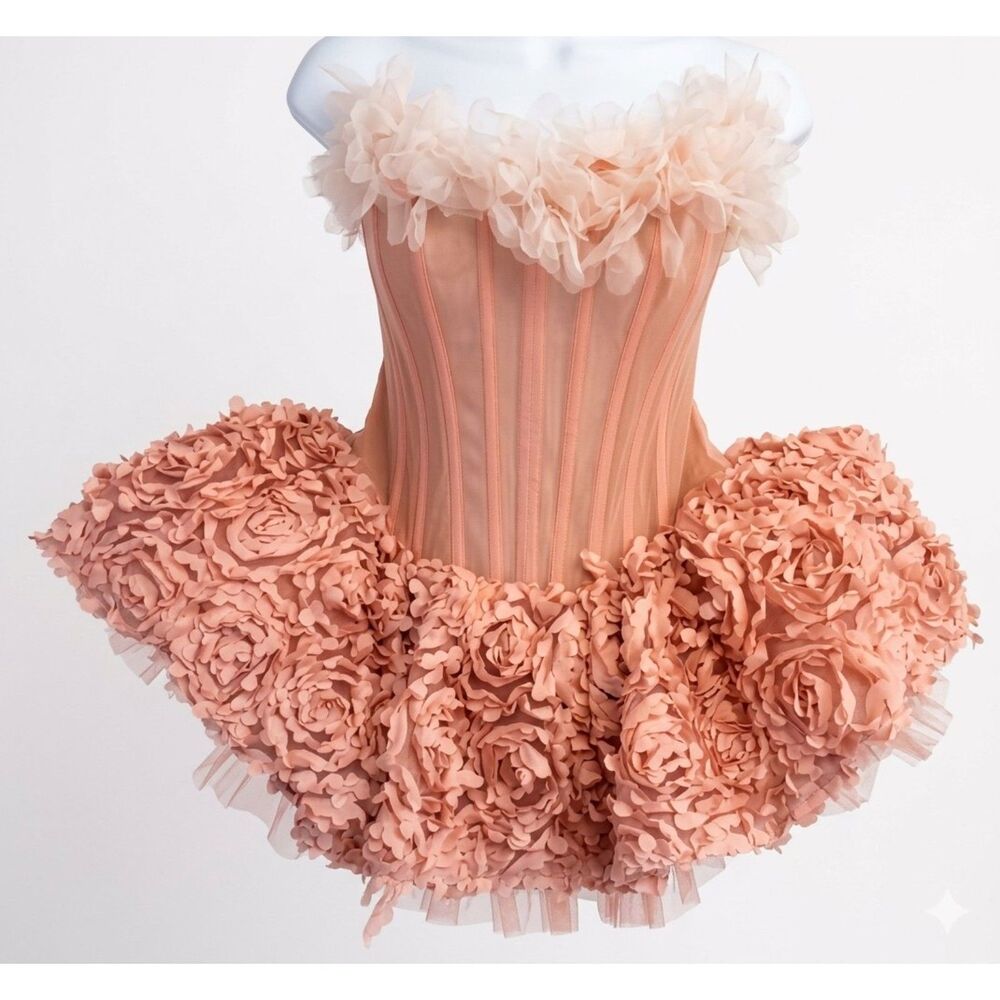 Moulin Rose Bella 3D Petal Tulle Corset Mini Dress Pink Coquette Large